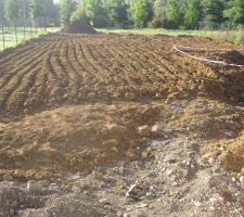 Jardin: nous avons fais décaisser le terrain et fait revenir de la bonne terre vegetale