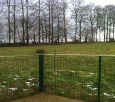 Découverte du terrain: pâturage