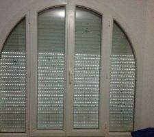 La fenêtre de la chambre parentale ... Chaque "tache" noire est un amas de mouches ...