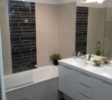 Carrelage 30x60 beige et ardoise mat   meuble salle de bain (1 vasque)