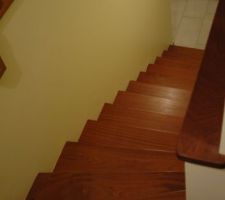 Inspiration pour l'escalier qui monte aux chambres : 1/4 tournant avec contremarches, en sapelli (bois d'Afrique)