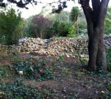 Vue de plus loin, &ccedil;a s'int&egrave;gre bien, je continue le nettoyage en esp&eacute;rant avoir moins de boulot au printemps prochain!