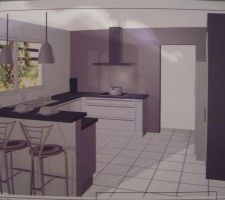 Choix de la futur cuisine 2