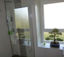 Rénovation salle de bains terminée: vue de la douche et du bonsaï