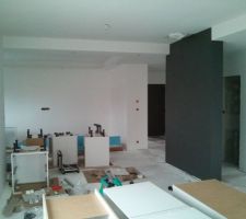 Mur de refend en gris anthracite (sikkens) et montage cuisine en cours