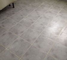 Carrelage de la salle de bain. La photo ne donne pas le vrai rendu = il est beaucoup plus fonc&eacute;