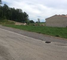 Notre terrain est situ&eacute; &agrave; l'entr&eacute;e du lotissement Les Hauts de Saint Maurice &agrave; Peyrole. Il y a une pente de 7%.

Le choix de Peyrole s'est tr&egrave;s vite impos&eacute; &agrave; nous : 
- &agrave; 5 minutes de l'autoroute ( A68 sortie 8 Lisle sur Tarn)
- les infrastructures &agrave; proximit&eacute; (Coll&egrave;ge, m&eacute;decins, commerces &agrave; Lisle)
- l'environnement champ&ecirc;tre
- le prix au m&sup2;