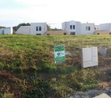 Défrichage du terrain