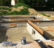 Mise en place des premiers morceaux de bois