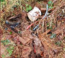Des d&eacute;chets, toujours des d&eacute;chets...