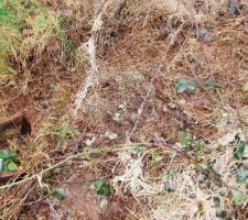 L&agrave; on voit vaguement le b&eacute;ton sous l'herbe et la terre
