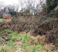 Un autre tas, on n'a pas &eacute;t&eacute; creuser sous celui-l&agrave;, trop d'&eacute;motions d&eacute;j&agrave;...