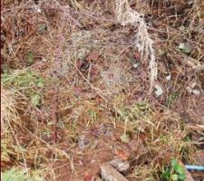 L&agrave; on voit un peu mieux le b&eacute;ton au centre de la photo