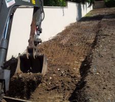 Arrachage des souches et décapage du chemin d'accès.