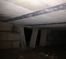 Montage dalle vide sanitaire