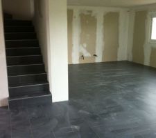 Carrelage rdc escalier vers 1er