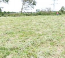 Apr&egrave;s d&eacute;broussaillage