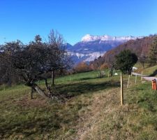 Terrain : vue sur la droite