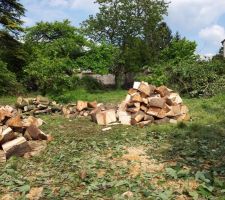 Bois fraîchement fendu