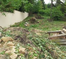 Souches à arracher dans le chemin d'accès