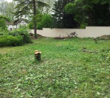 Parcelle vue du haut