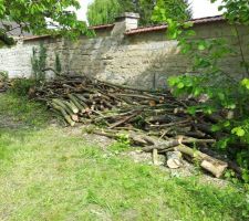Un peu de bois à tronçonner