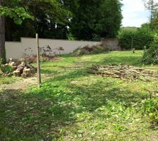 Un peu de bois à tronçonner (encore)