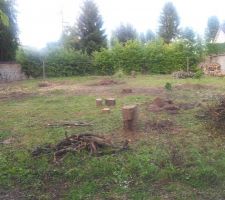 On y voit déjà plus clair