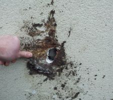 Trou dans mur neuf suite chute de souche d'érable