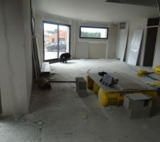 Salon- salle à manger