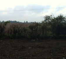 TERRAIN DEFRICHE