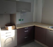 Cuisine: armoire four (avec une porte qui ne fonctionne pas) en marron glacé, portes des meubles bas en figue