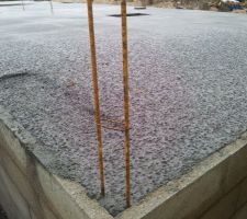Impacts des gouttes d'eau tombées du tilleul du voisin