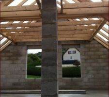 Pose du conduit de cheminée