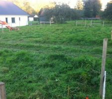 Implantation maison