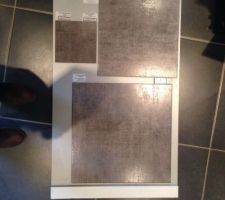 Carrelage melbourne acier ..... On ne voit pas tr&egrave;s bien je trouve sur la photo...