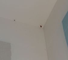 Un habitant
