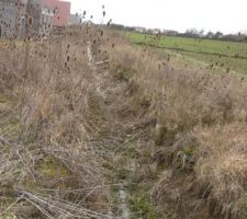 Le foss&eacute; de drainage, limite de propri&eacute;t&eacute; &agrave; l'arri&egrave;re du terrain