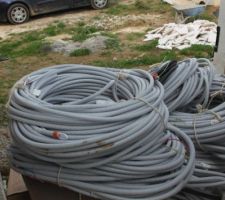 La pieuvre electrique