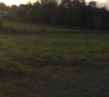 Notre futur terrain
Photo prise a 17h45.