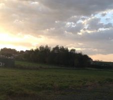 La limite de terrain le cabanon vert......jusqu'aux arbres