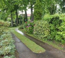 Terrain vu de la rue