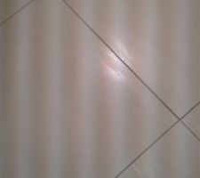 Carrelage pour murs salle de bain et wc mais en 60x30