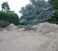 Terrain : fouilles 02