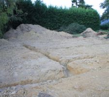 Terrain : fouilles 03