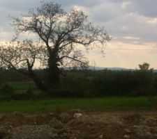 Notre terrain de 1000m2 a villette d'anthon avant terrassement