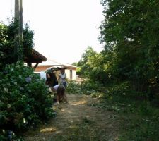 Non ce n'est pas la jungle dans le Médoc ... quoique