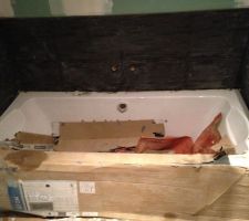 Bande autour de la baignoire