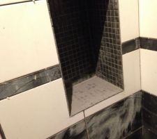 Niche dans la douche