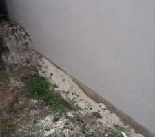 Terre du voisin sur mon mur..